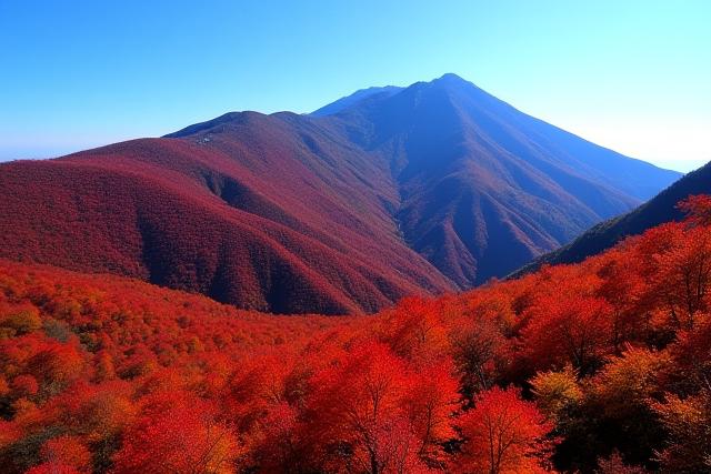 長野県白馬岳の紅葉
